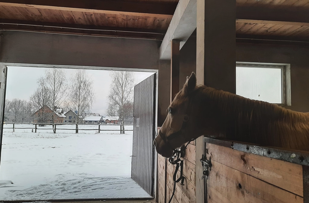 Boksy do wynajęcia w pensjonacie dla koni 2 - Zagroda Mustang Rzeszów Werynia Dzikowiec Kolbuszowa