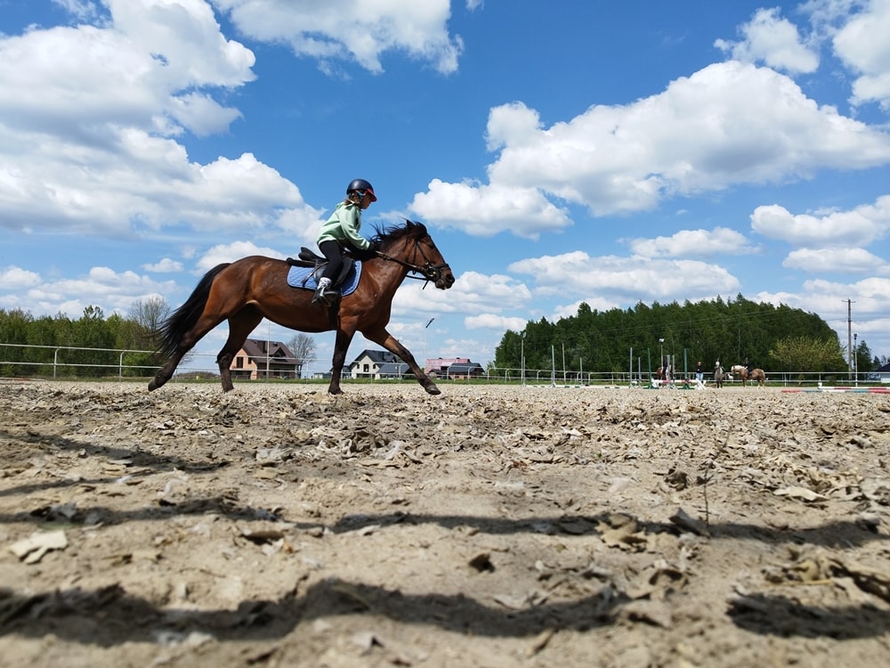 Warsztaty jeździeckie - półkolonie 2023 wakacje Zagroda Mustang Werynia Rzeszów Kolbuszowa